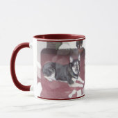 Haus Pets Tasse (Links)