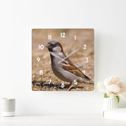Haus-Spatzenvogel Uhr (Zuhause)