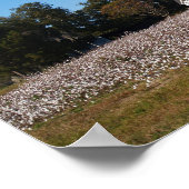 Haus- und Baumwollfeldanlagen Poster (Ecke)