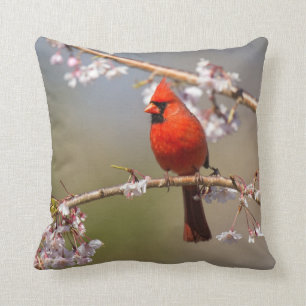 Haus-Vogel-Foto-Kissen Kissen