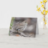 Haus Wen Karte (Gelbe Blume)