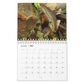 Häuschen in der Natur Kalender (Jan 2027)