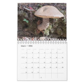 Häuschen in der Natur Kalender (Mär 2026)