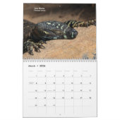 Hausechsen Kalender (Mär 2026)