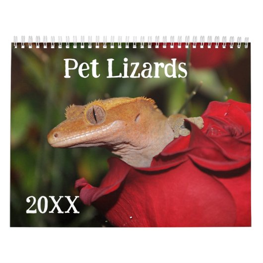Hausechsen Kalender (Titelbild)