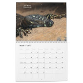 Hausechsen Kalender (Mär 2027)