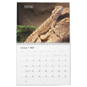 Hausechsen Kalender (Jan 2027)