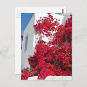 Häuser Mykonos Postkarte (Vorne/Hinten)