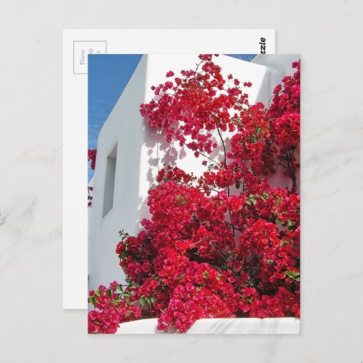 Häuser Mykonos Postkarte (Vorne/Hinten)