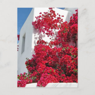 Häuser Mykonos Postkarte