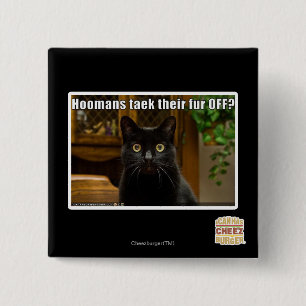 Häuser nehmen sich ab? button