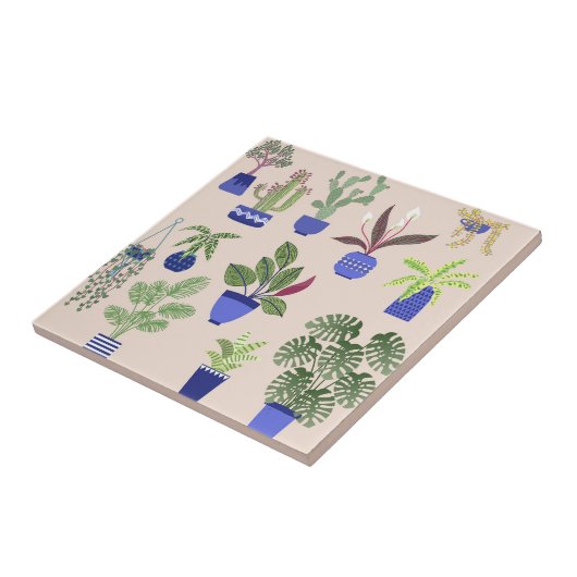 Häuserpflanzen Kakteen Sukkulentes Muster Rosa Fliese (Seite)