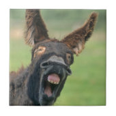 Hausesel Porträt Fliese (Vorderseite)