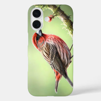HAUSFINK VOGEL AVIAN GARTEN iPhone 16 HÜLLE