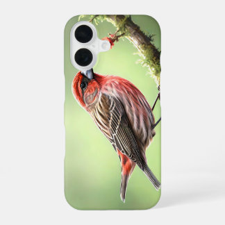 HAUSFINK VOGEL AVIAN GARTEN iPhone 16 HÜLLE