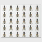 Hausfliege. Geschenkpapier (Flach)