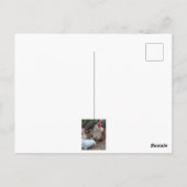 Hausgeflügel niedlich postkarte (Rückseite)