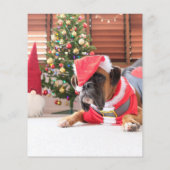 HAUSHALT FOTO Weihnachten Gruß Gold Flyer (Hinten)