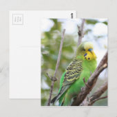 Haushalt Postkarte (Vorne/Hinten)