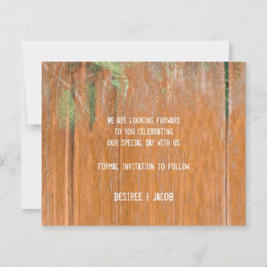 Haushalt Rustikale Sonnenblumen Bull Skull Save th (Rückseite)