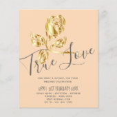 HAUSHALT Trenino di Love Rose Locarno (Vorderseite)