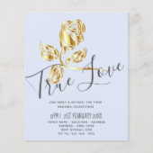 HAUSHALT Trenino di Love Rose Locarno (Vorderseite)