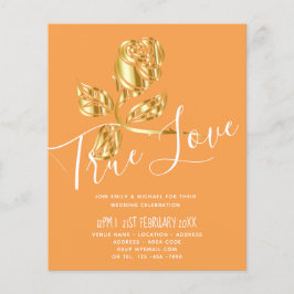 HAUSHALT Trenino di Love Rose Locarno