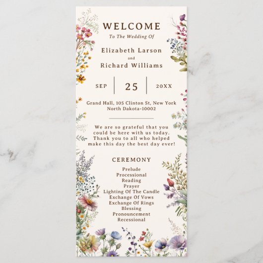 Haushaltsfarbige Wildblume Blumenfarbe Programm (Vorderseite)