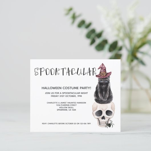 HAUSHALTSHalloween Spooktacular Schwarze Katze auf (Stehend Vorderseite)