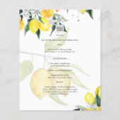 HAUSHALTSKONTROLLE - 1 FOTO OVERLAY Lemons Wedding Flyer (Hinten)