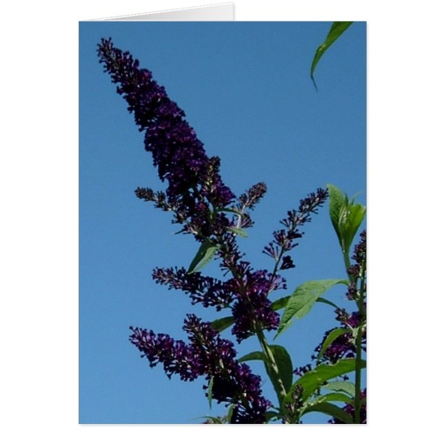 Haushaltsplan 2001 (Vorne)