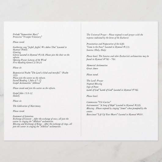 HAUSHALTSPROGRAMM FÜR katholische Hochzeiten (Rückseite)