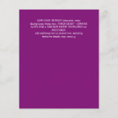 HAUSHALTSQUINCEANERA - AGATE Glitzern Glamour Chic Flyer (Hinten)