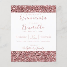 HAUSHALTSRose Gold Rosa Glitzer Quinceanera