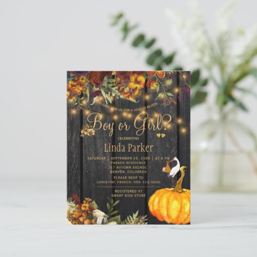 Haushaltsrückgang Baby Dusche Geschlecht offenbare (Stehend Vorderseite)