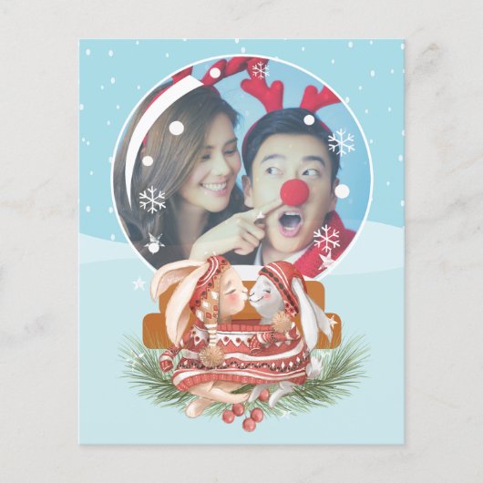 HAUSHALTSWeihnachtsschneegrabbit - Foto (Vorderseite)