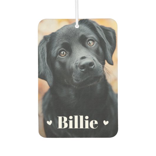 Haushunde Katzen Namen Herzen zwei Fotos Autolufterfrischer (Vorderseite)