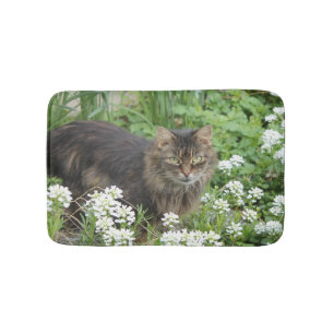 Hauskatze Badematte