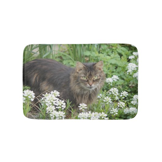 Hauskatze Badematte (Vorderseite)