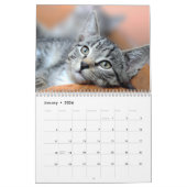 Hauskatze Custom Fotos Moderne Niedlich 12 Monate Kalender (Jan 2026)