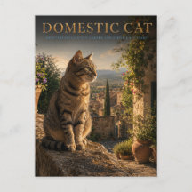 Hauskatze Garten Hof TIER