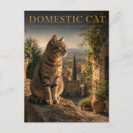 Hauskatze Garten Hof TIER Postkarte