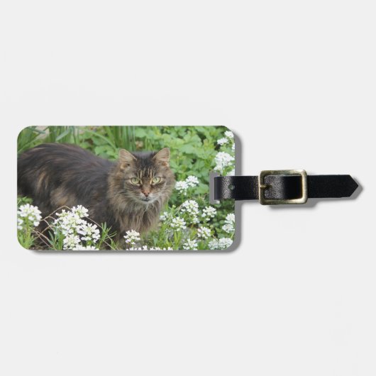 Hauskatze Gepäckanhänger (Vorderseite horizontal)