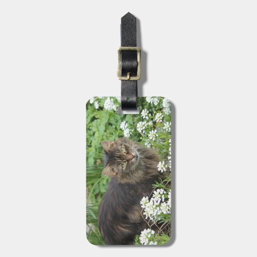 Hauskatze Gepäckanhänger (Vorderseite vertikal)