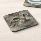 Hauskatze Getränkeuntersetzer (Linke Seite)