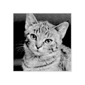 Hauskatze Hund benutzerdefiniertes Foto Gummistempel (Prägung)