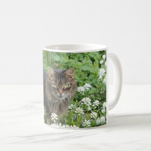 Hauskatze Kaffeetasse (VorderseiteRechts)