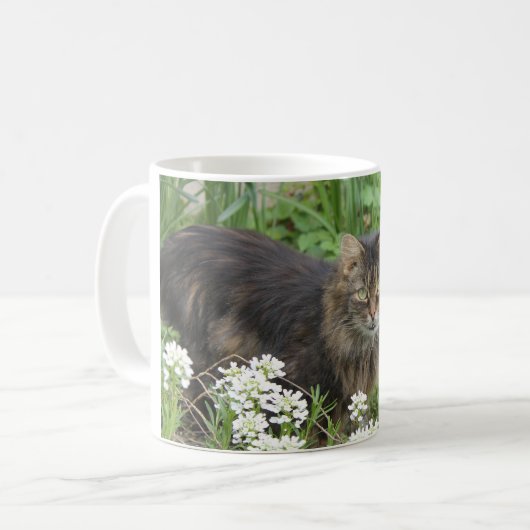 Hauskatze Kaffeetasse (Vorderseite Links)