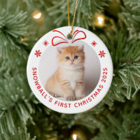Hauskatze Kitty Weihnachten Personalisiertes Foto