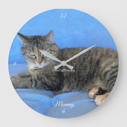 Hauskatze-Liebe Große Wanduhr (Vorderseite)